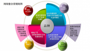 从战略到执行 构建高效的企业网络营销策划与推广体系